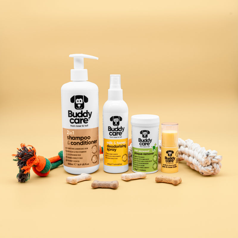 Ultimate Dog Care Bundle