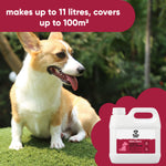 Black Cherry Artificial Grass Cleaner
