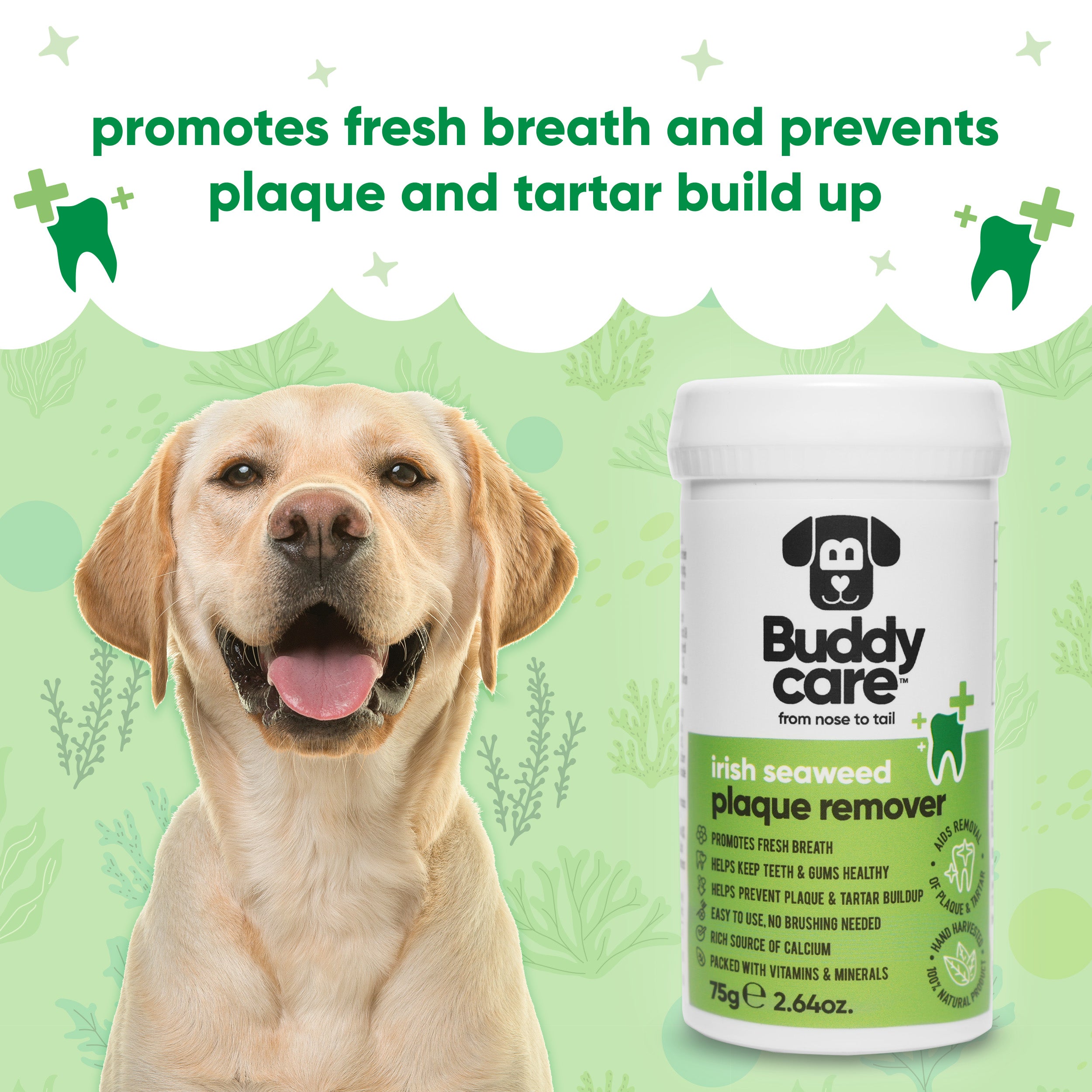 Irish Seaweed Plaque Remover