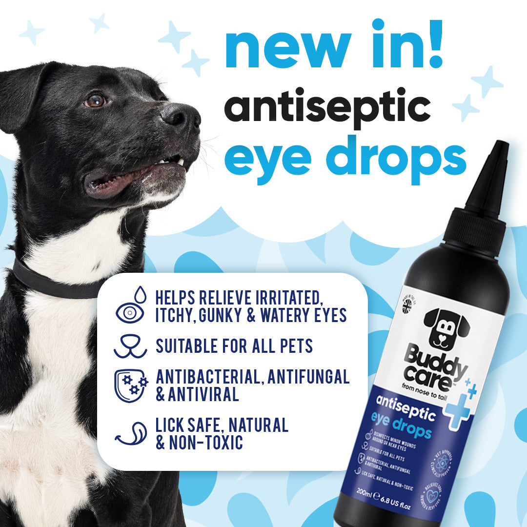 Pet Antiseptic Eye Drops