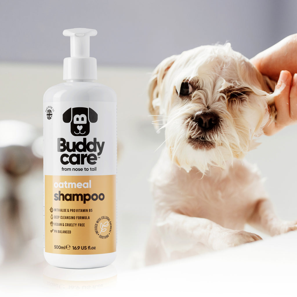 Buddycare - Dog & Cat Grooming