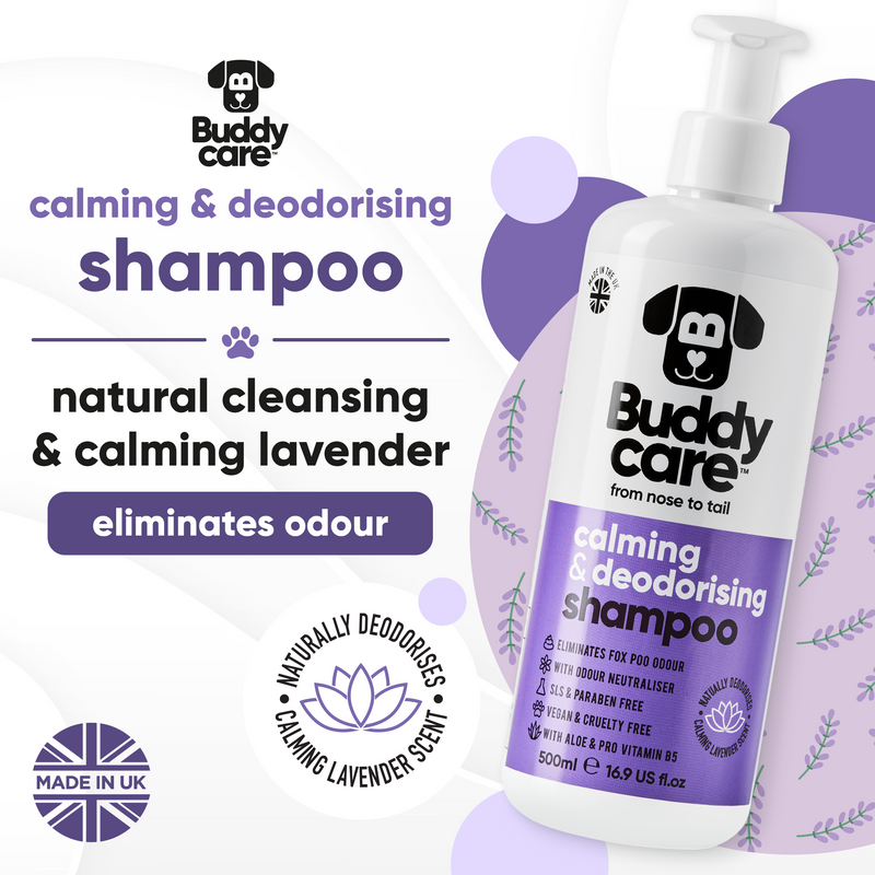 Calming & Deodorising Lavender Dog Shampoo