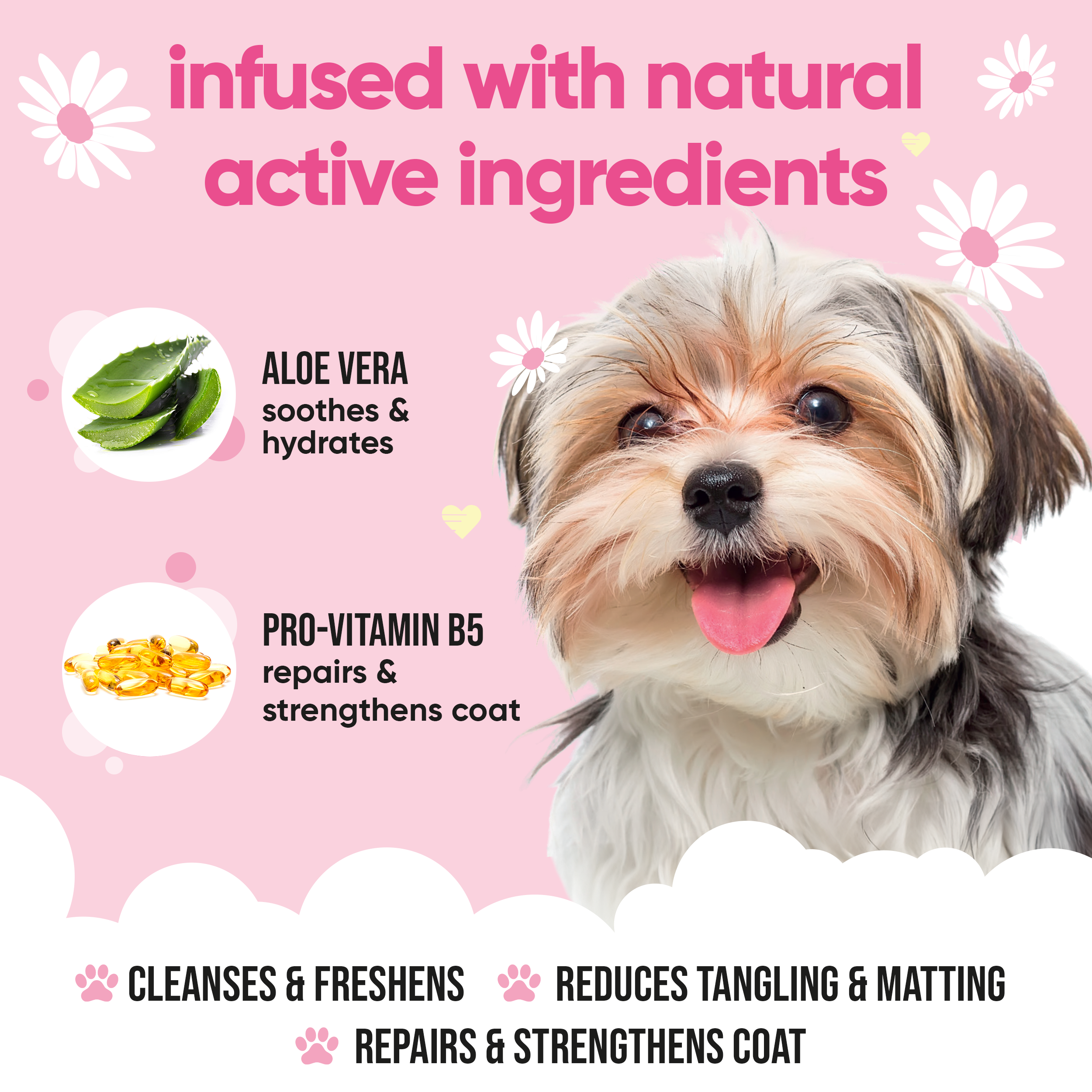 Baby Fresh Dog Shampoo by Buddycare