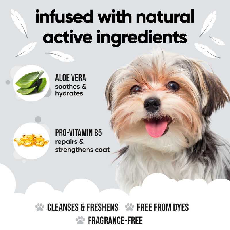 Derma Sensitive Dog Shampoo