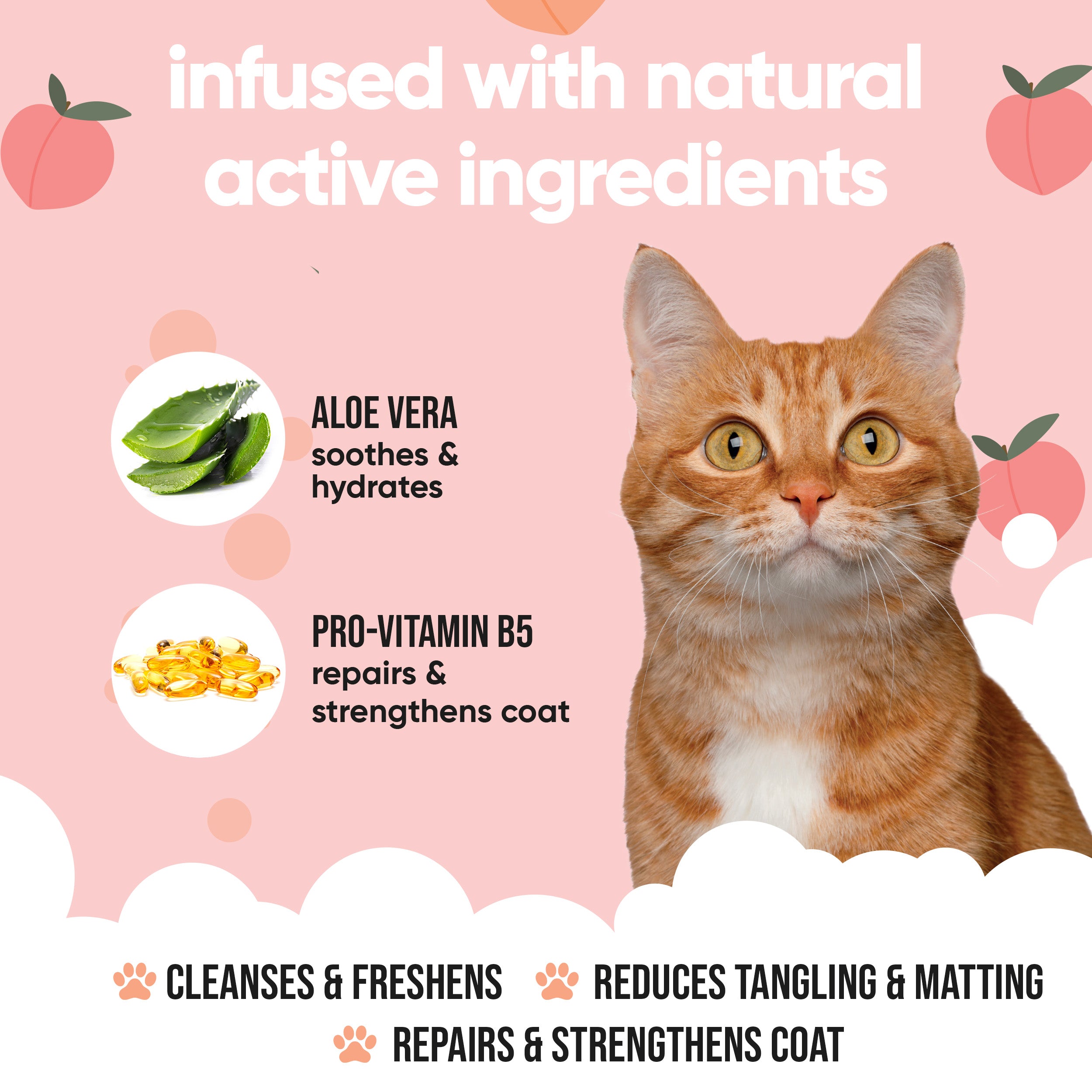 Peach Cat Shampoo by Buddycare