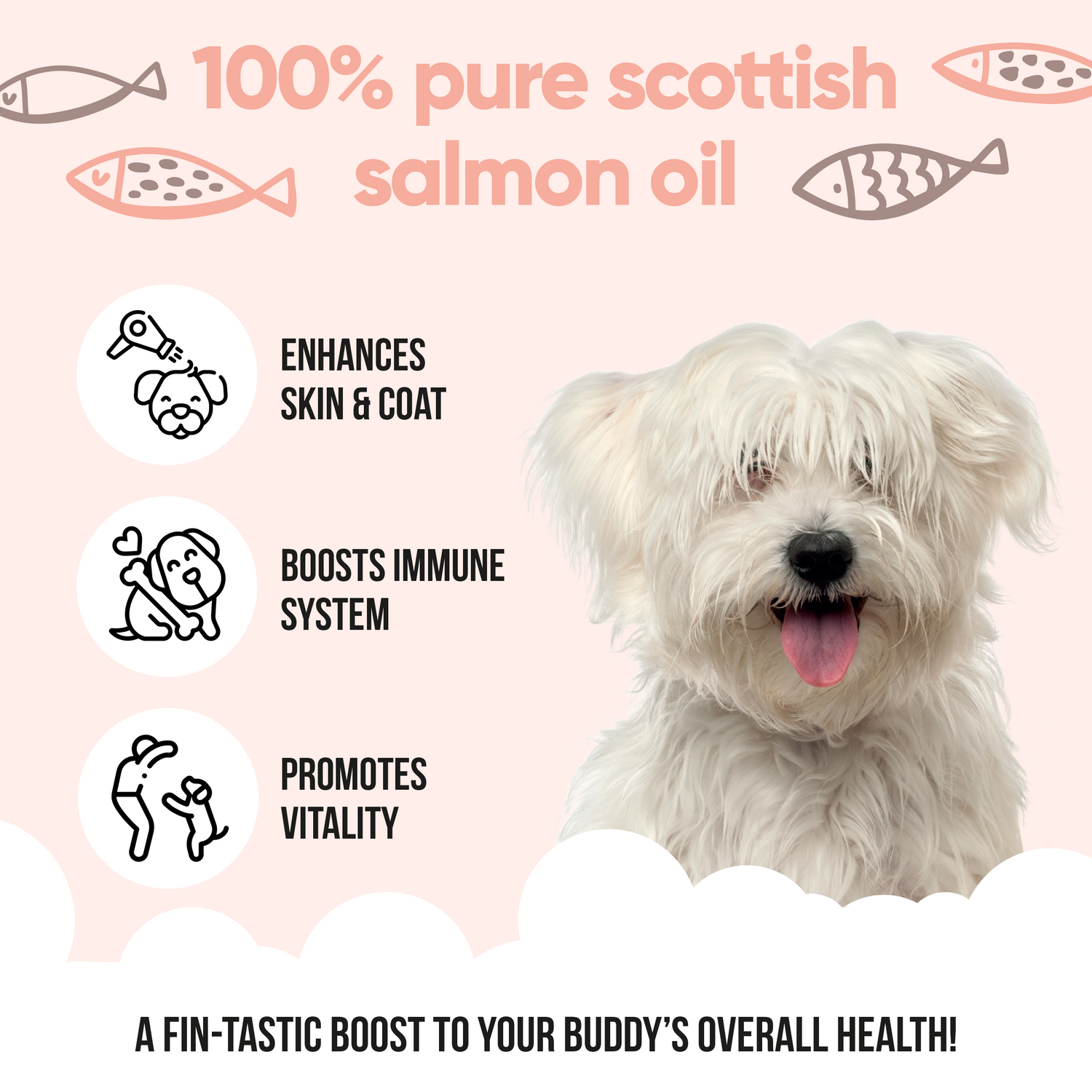 Scottish Salmon Oil for Dogs &amp; Cats