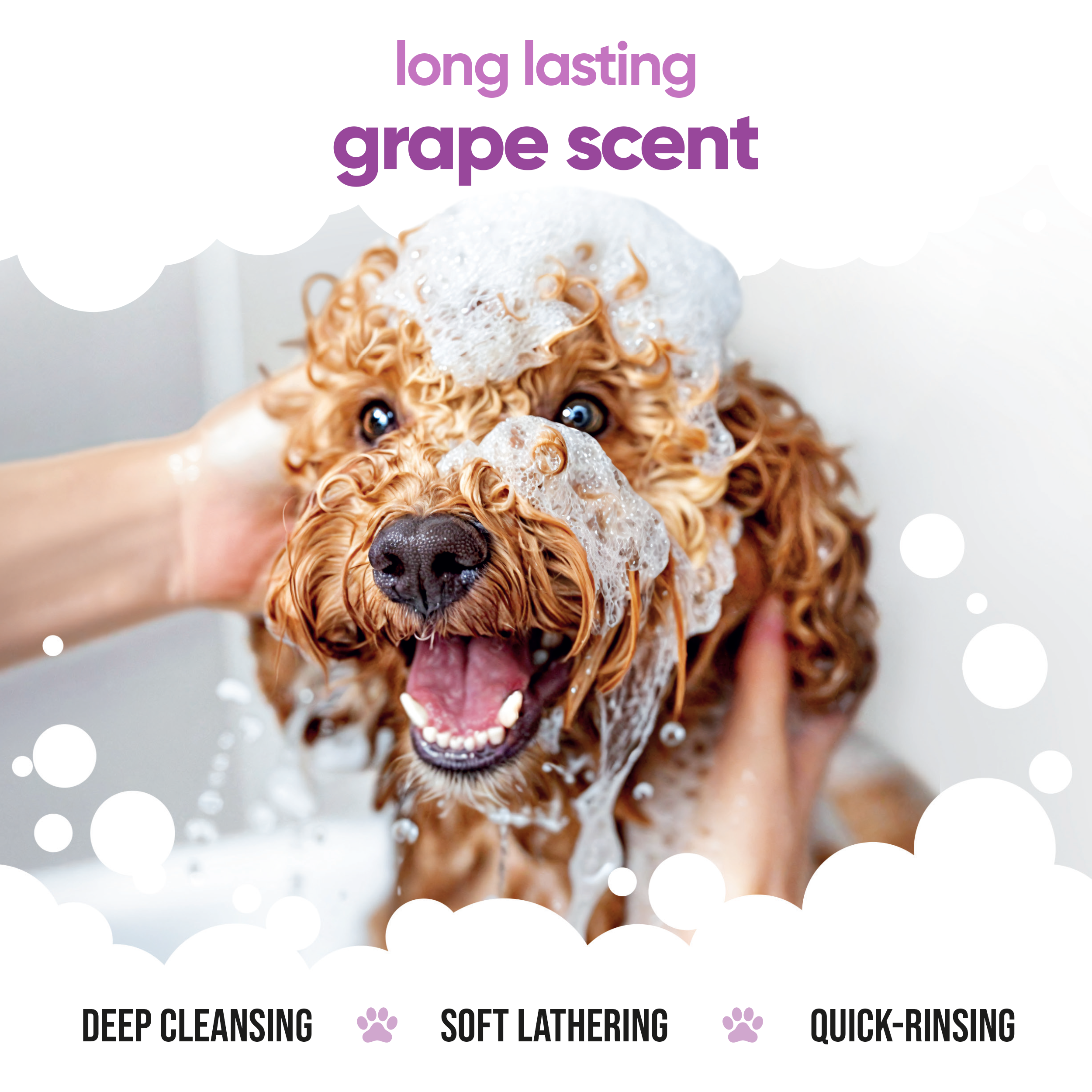 Grape Dog Shampoo by Buddycare