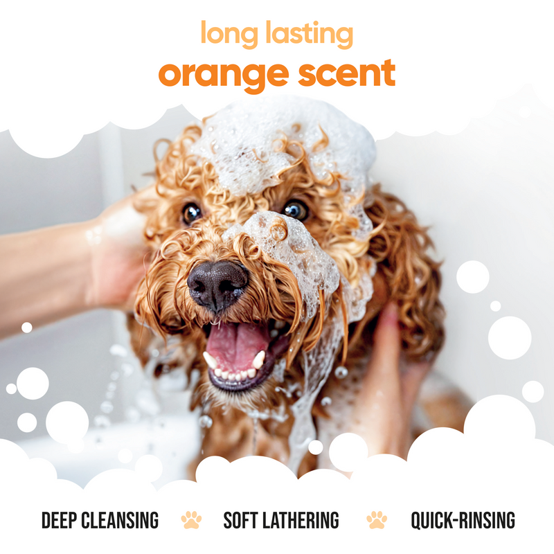 Orange Dog Shampoo