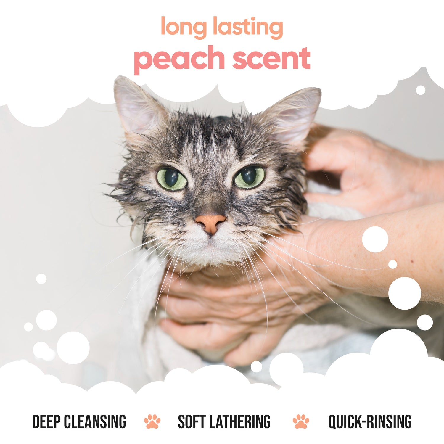 Peach Cat Shampoo