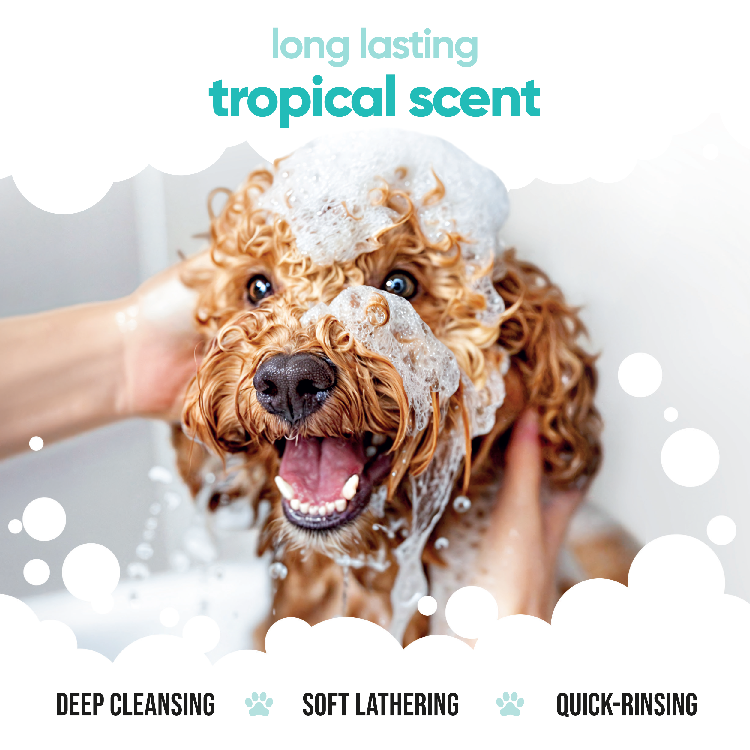 Tropical Dog Shampoo