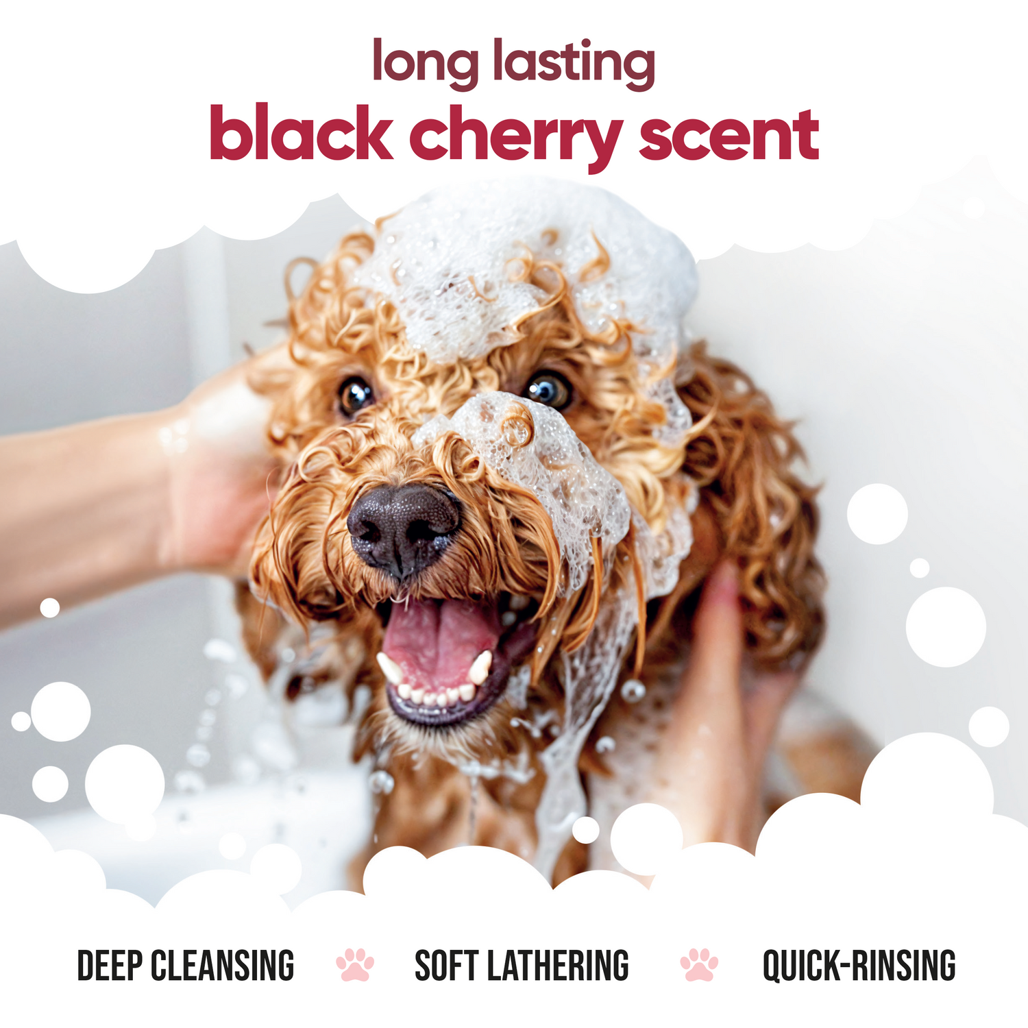 Black Cherry Dog Shampoo