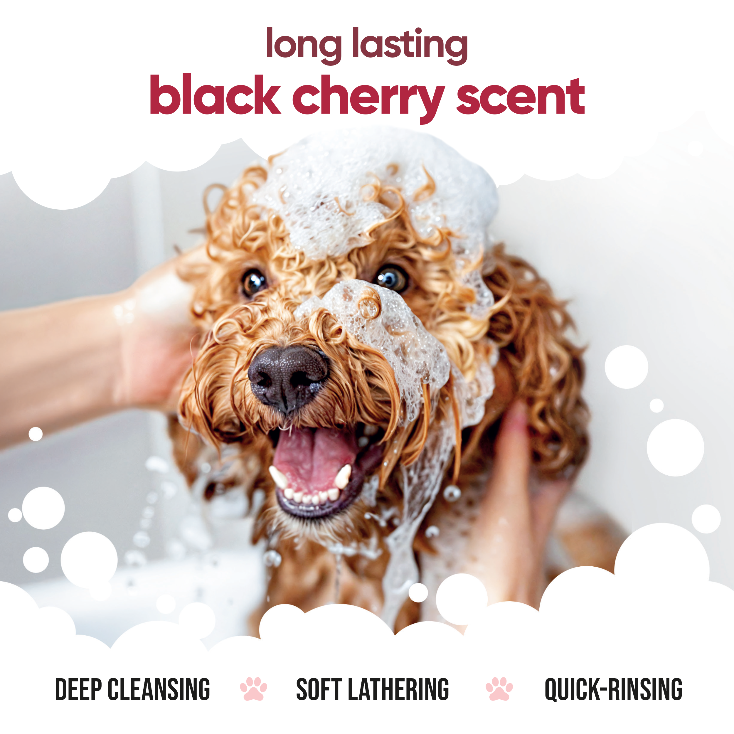 Black Cherry Dog Shampoo by Buddycare