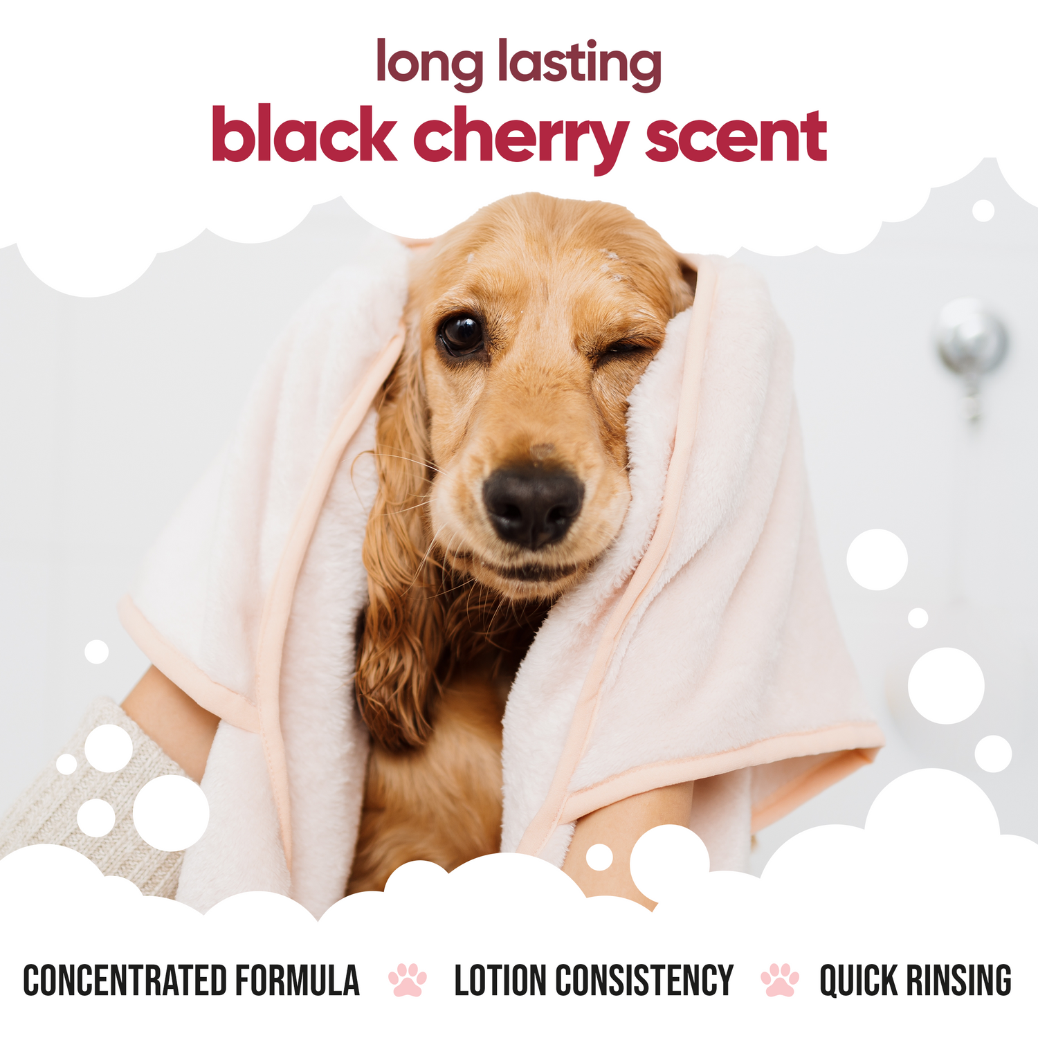 Black Cherry Dog Conditioner