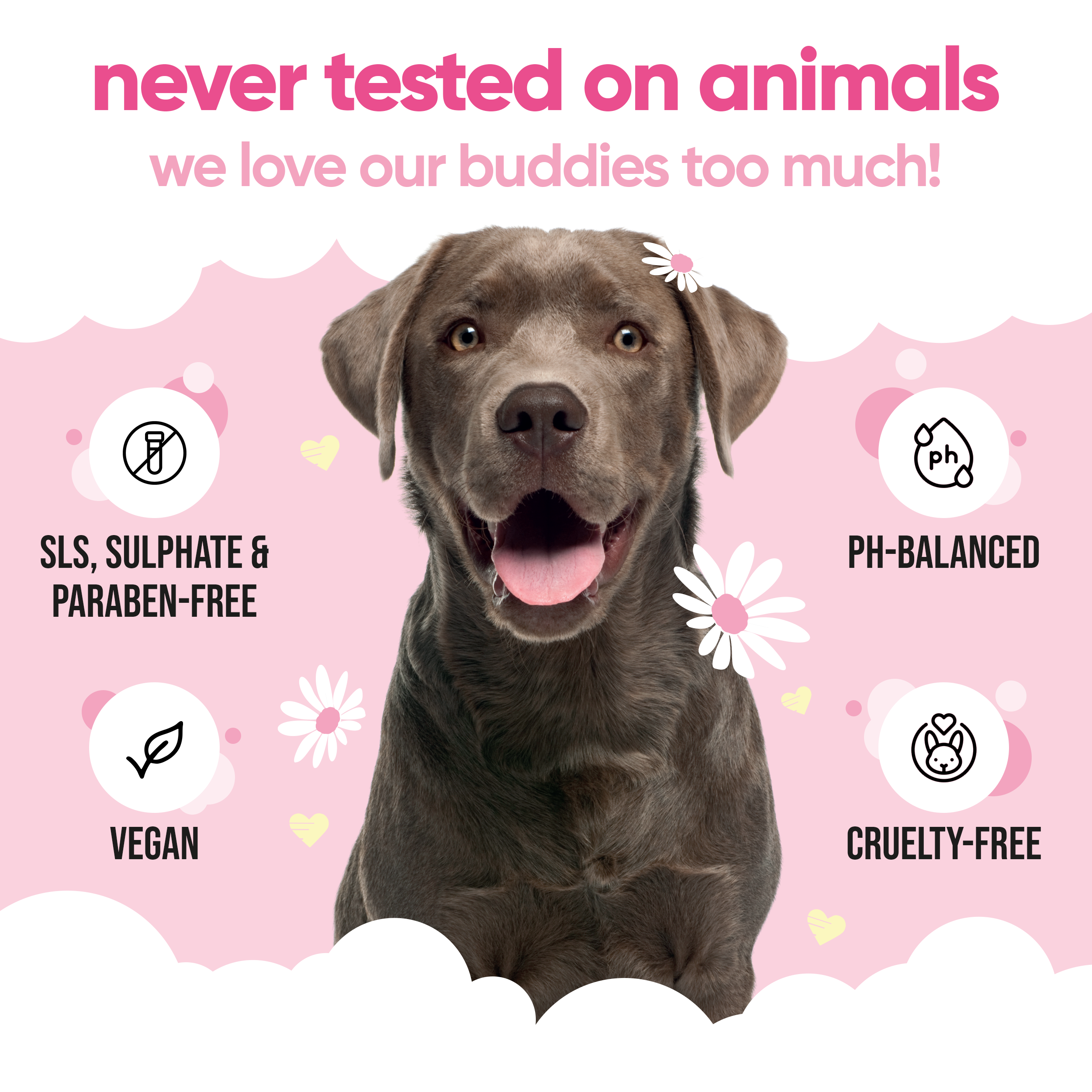 Baby Fresh Dog Shampoo by Buddycare