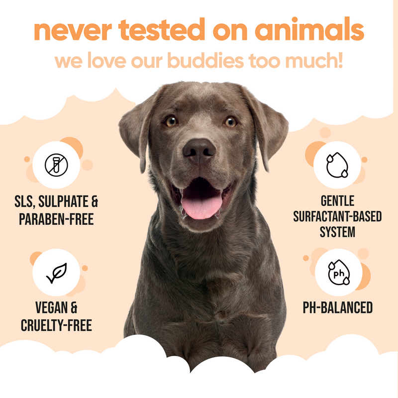 Flea & Tick Dog Shampoo