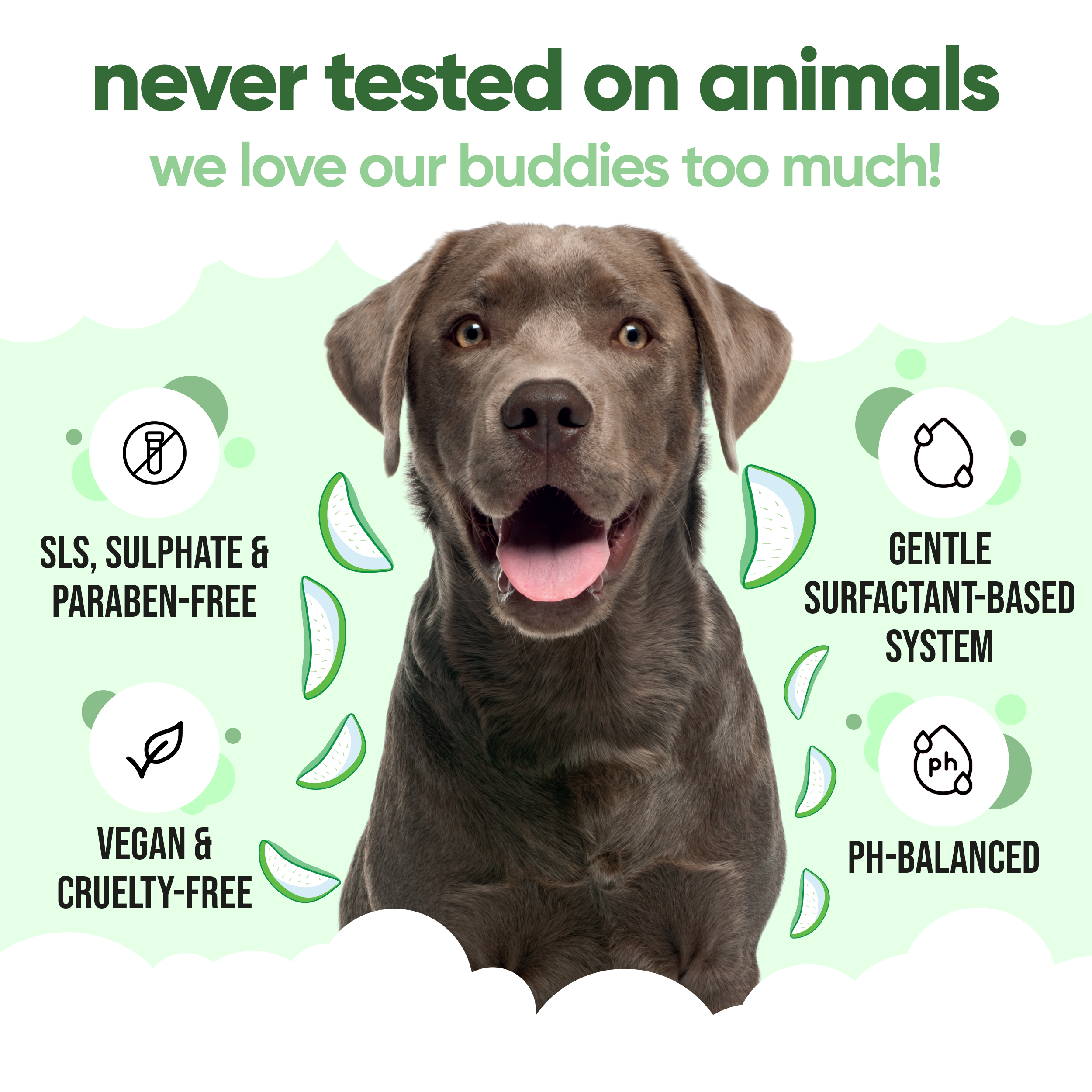 Shed Control Aloe & Lemongrass Dog Shampoo