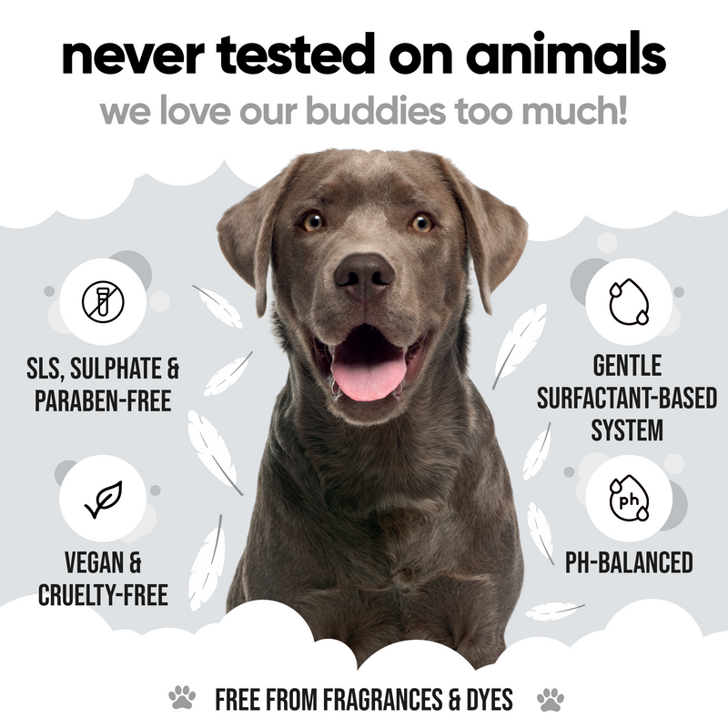 Derma Sensitive Dog Shampoo