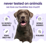 Calming & Deodorising Lavender Dog Shampoo