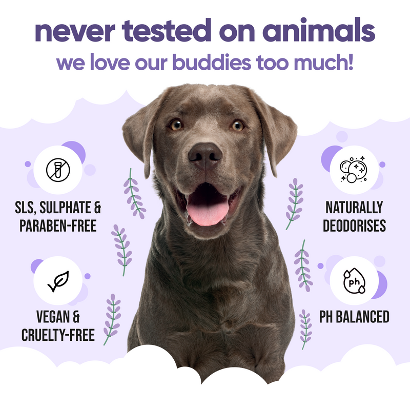 Calming & Deodorising Lavender Dog Shampoo