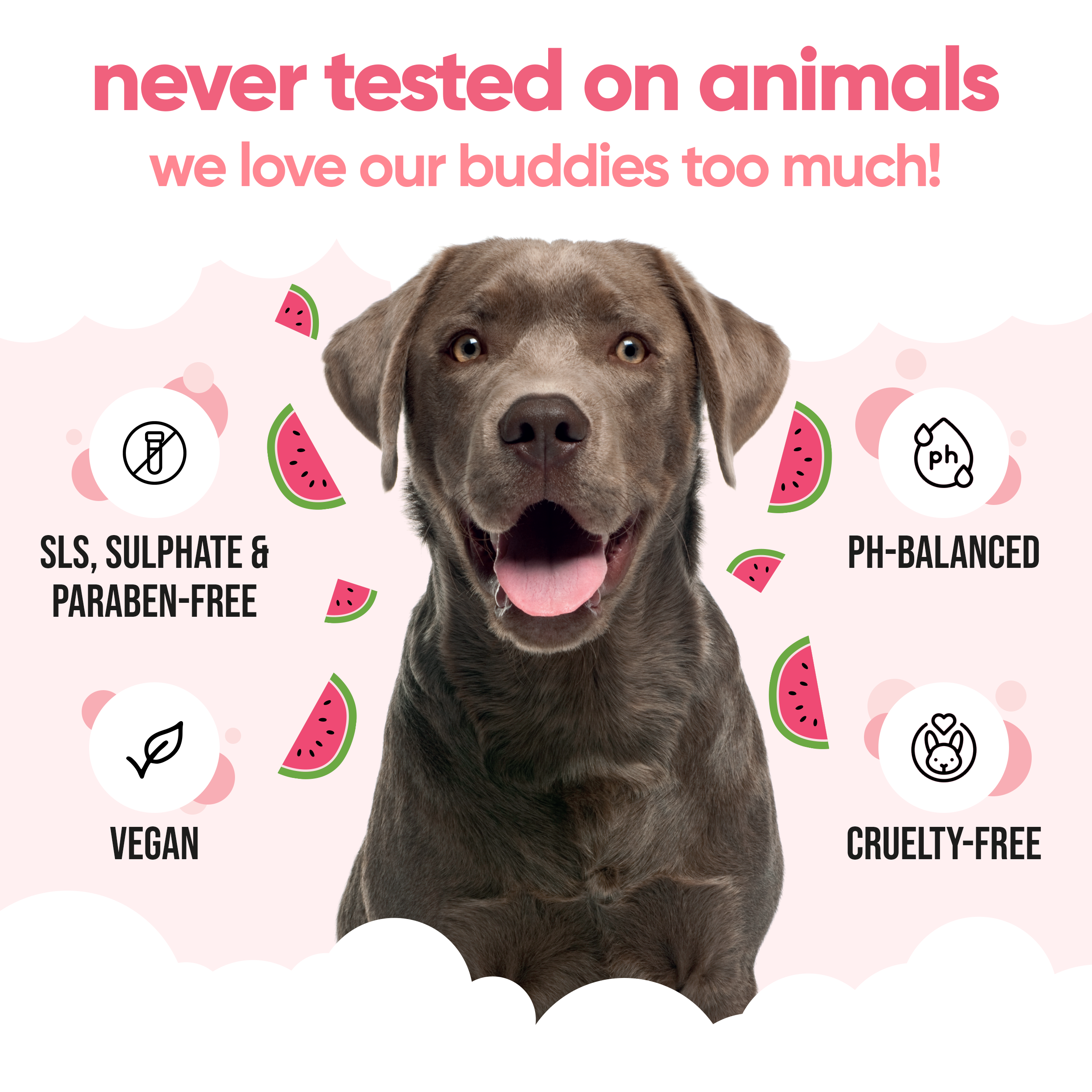 Watermelon Dog Shampoo by Buddycare