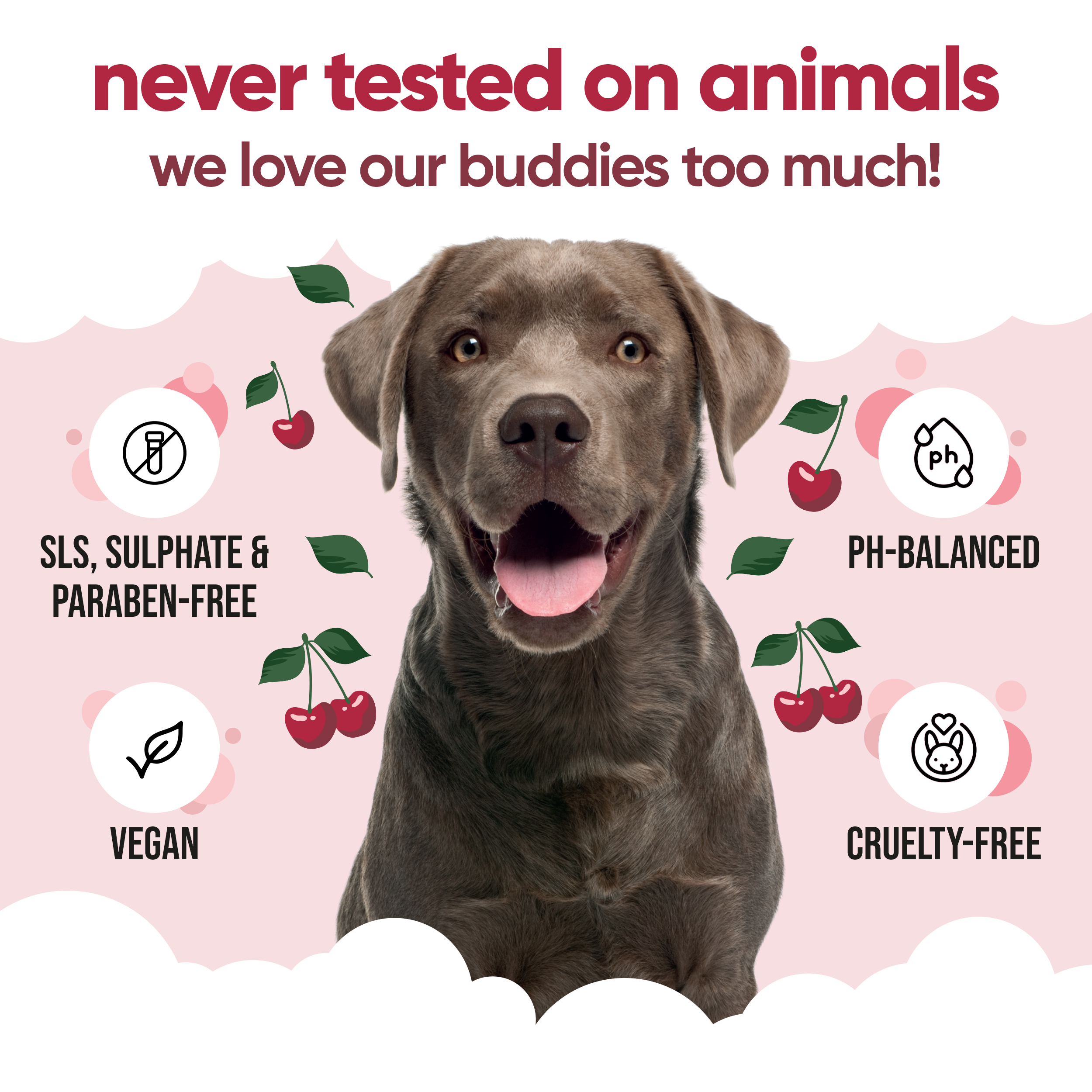 Black Cherry Dog Shampoo by Buddycare