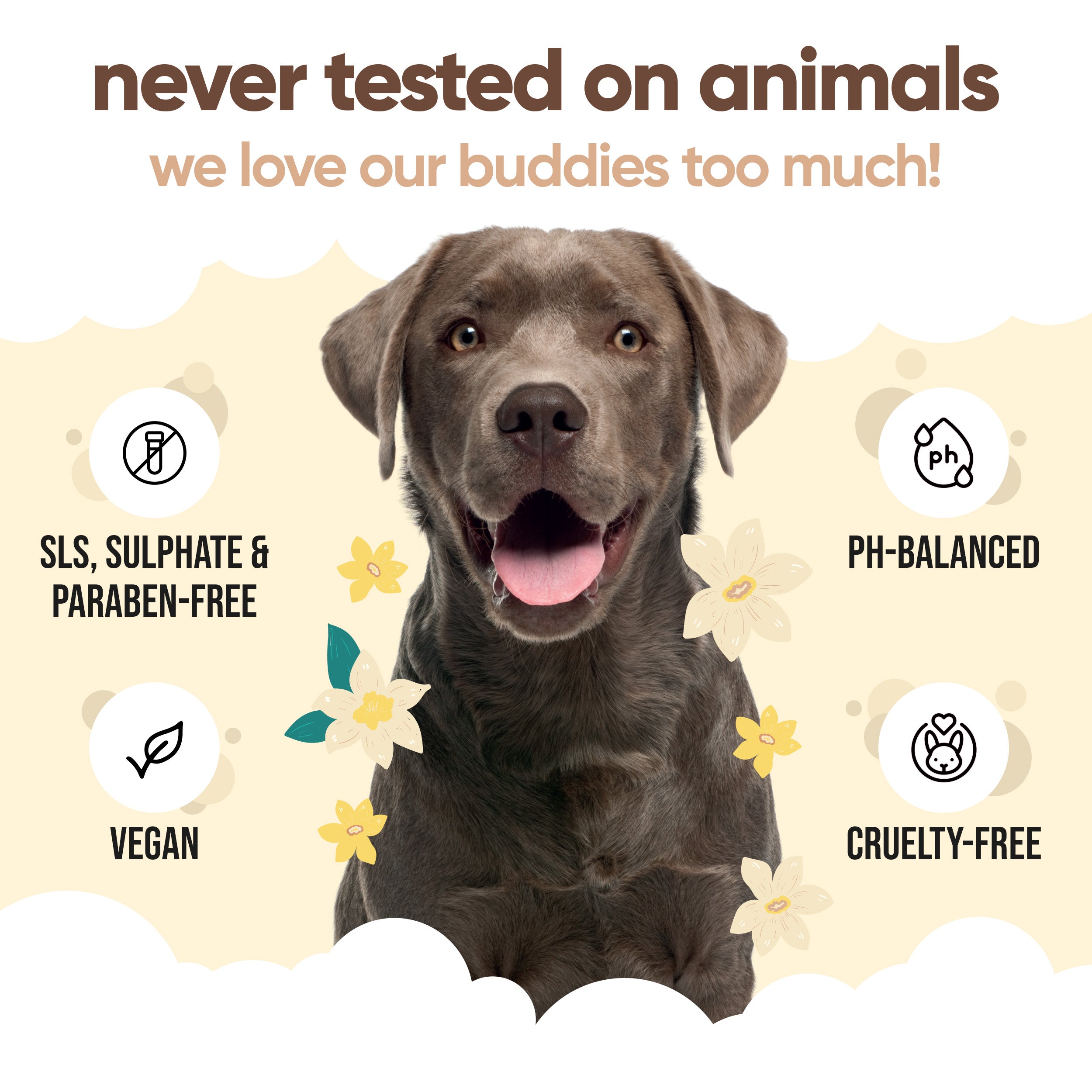 Vanilla & Shea Butter Dog Shampoo by Buddycare