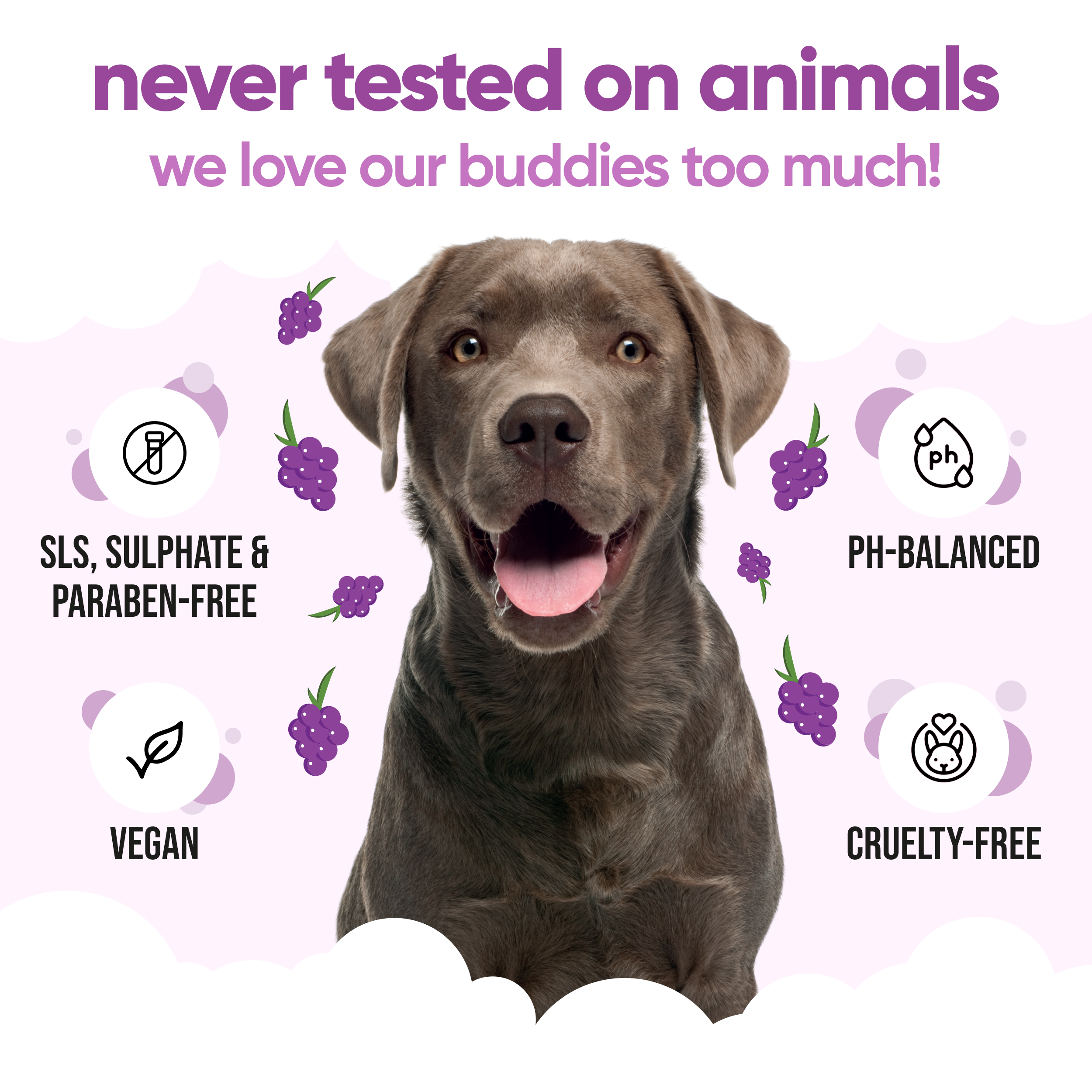 Grape Dog Shampoo by Buddycare