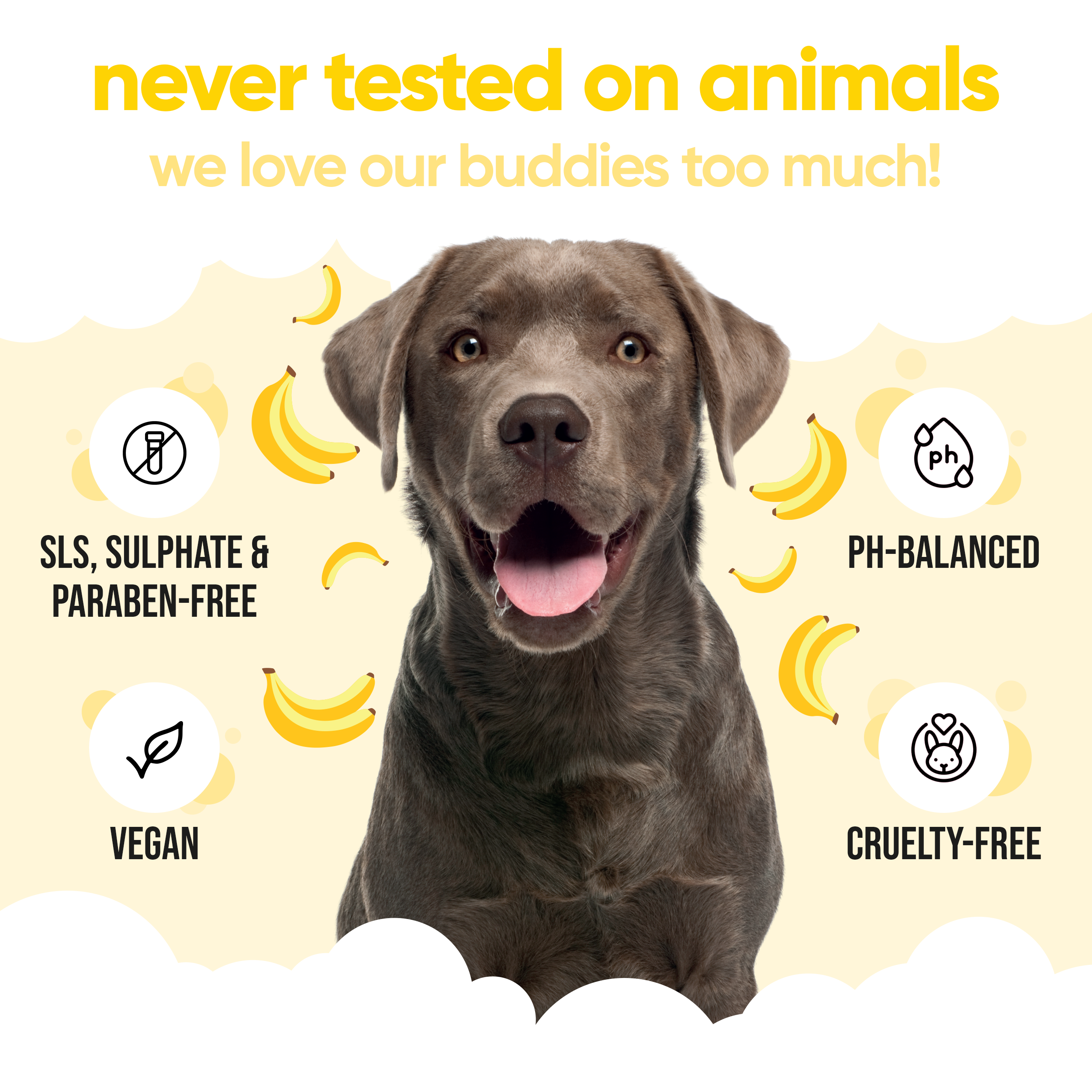 Banana Dog Shampoo by Buddycare