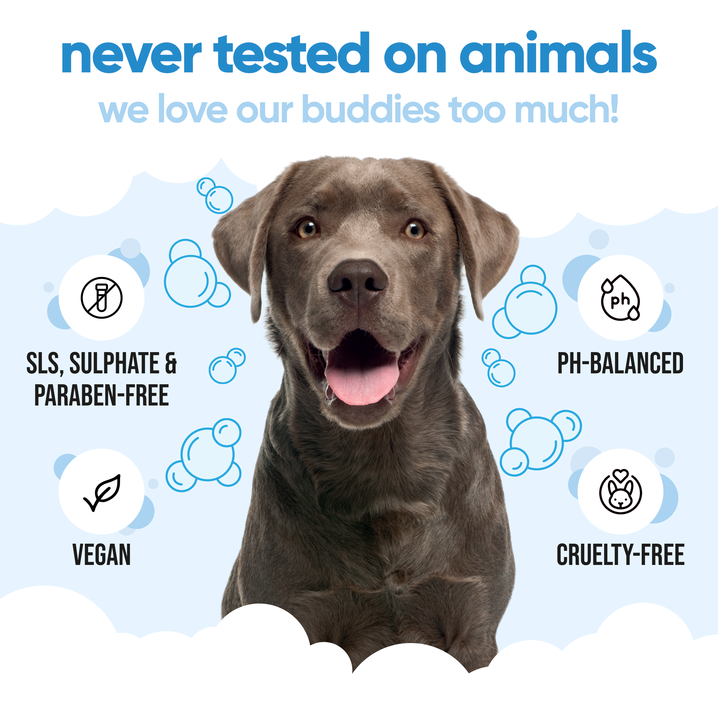 Bubblegum Dog Shampoo by Buddycare