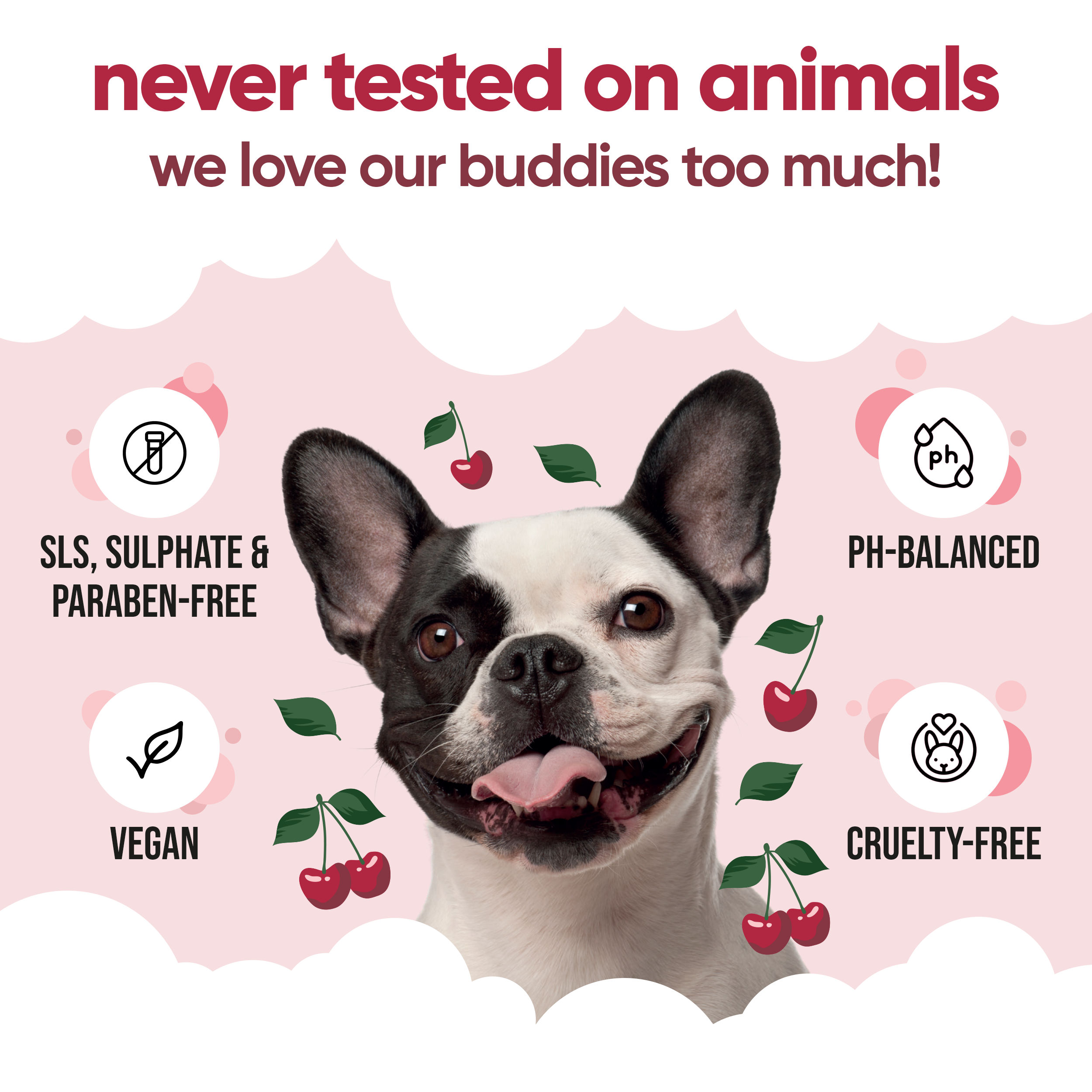 Black Cherry Dog Conditioner by Buddycare