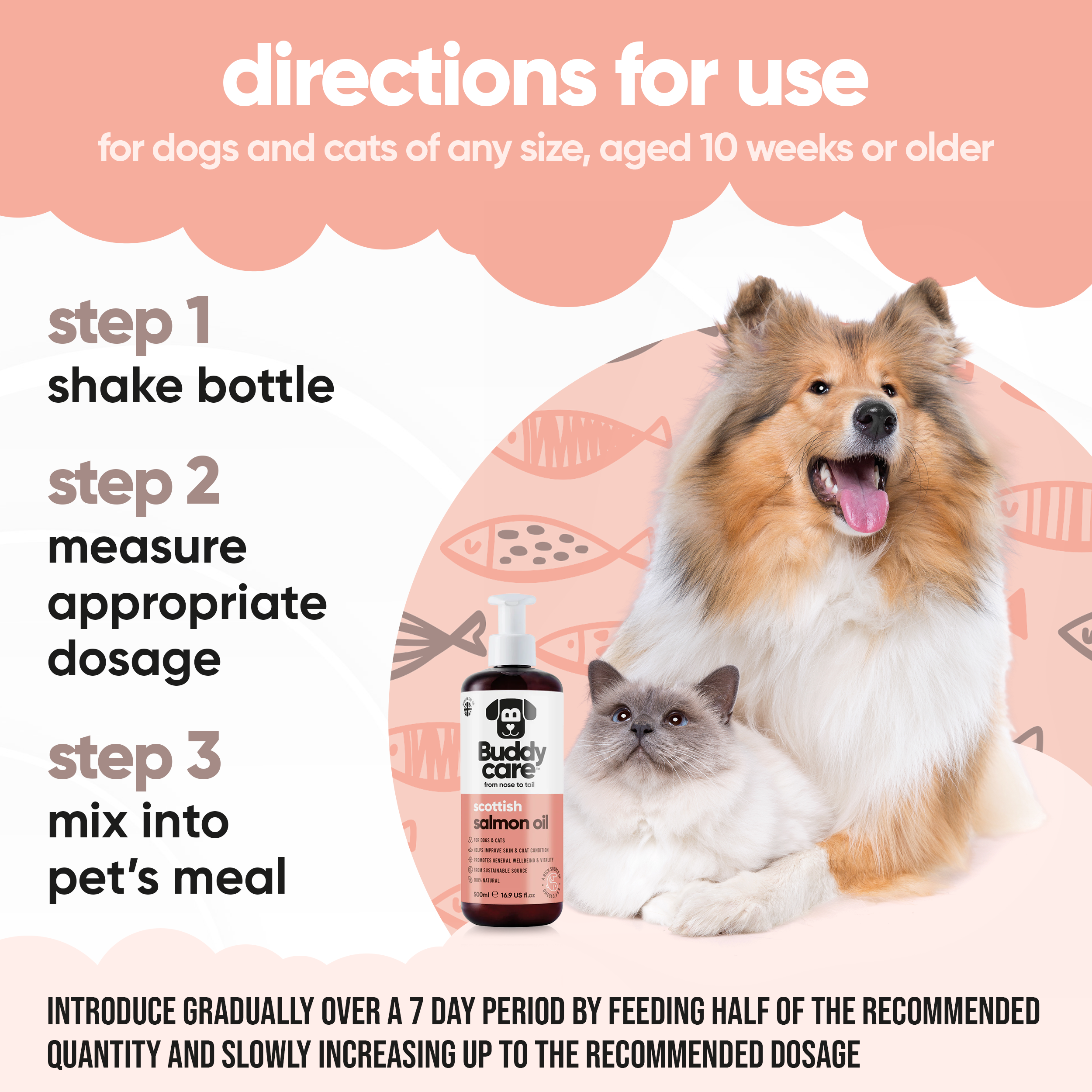 Scottish Salmon Oil for Dogs & Cats by Buddycare