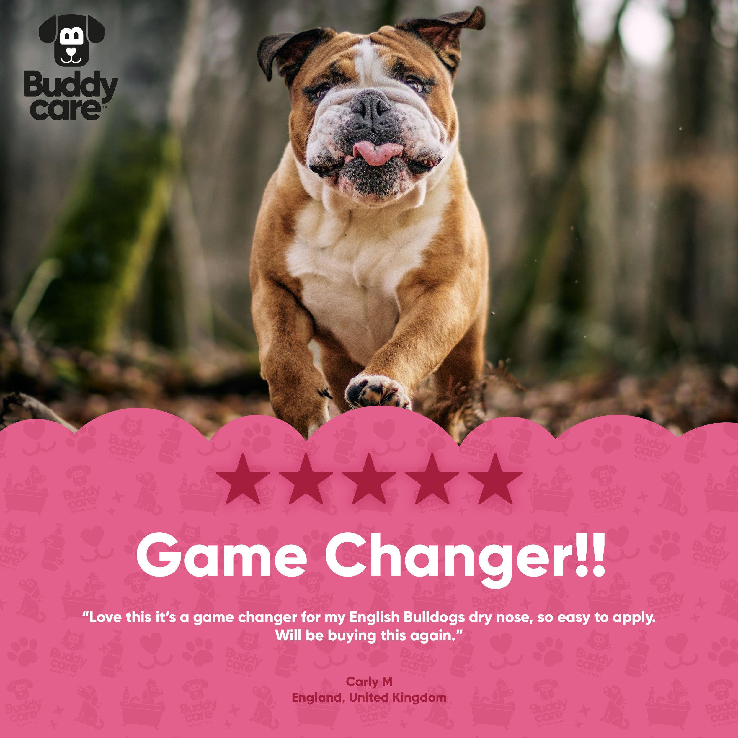 Black Cherry Paw & Nose Balm