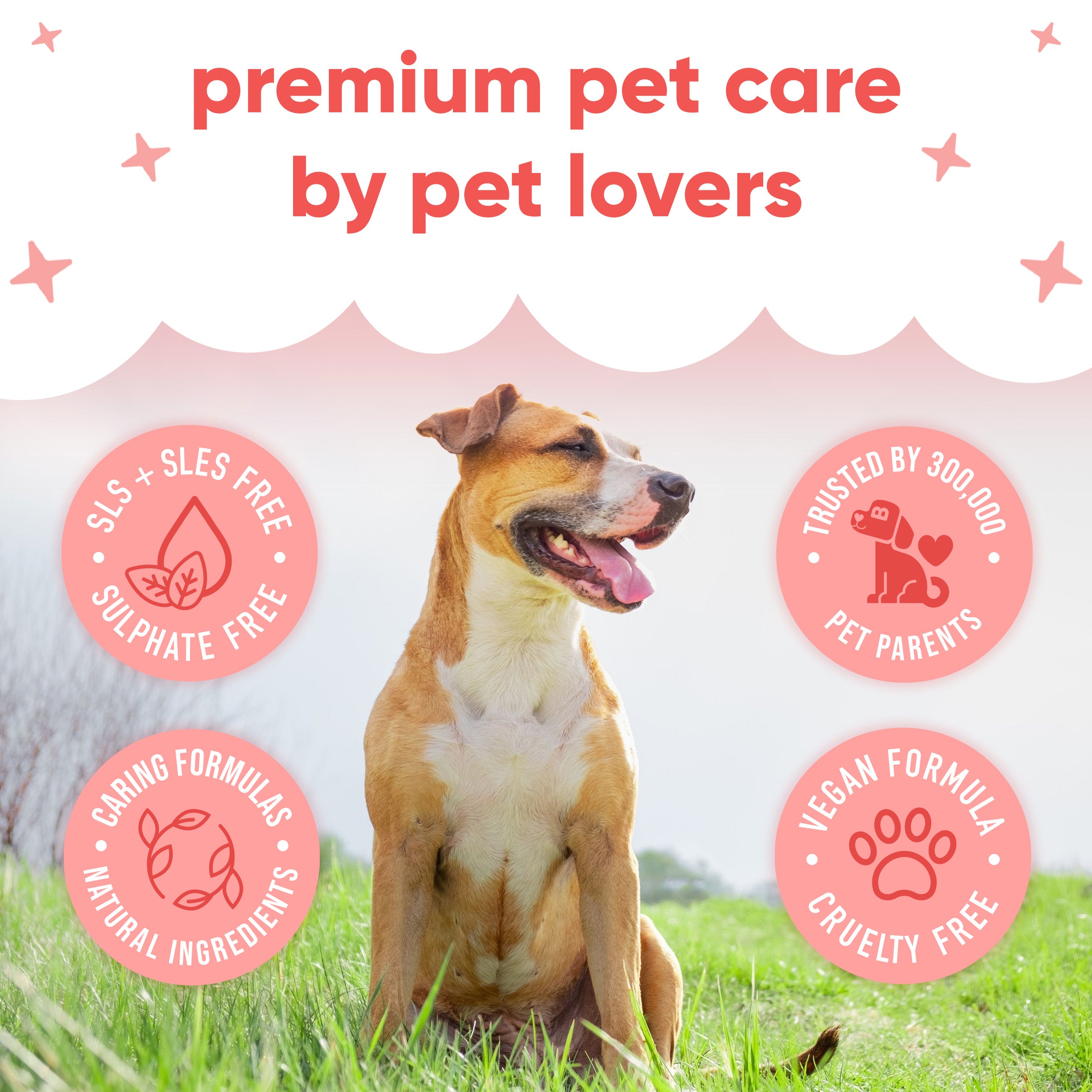 Pet Antiseptic Chlorhexidine Medicated Shampoo