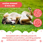 Pet Antiseptic Chlorhexidine Medicated Waterless Dry Dog Shampoo