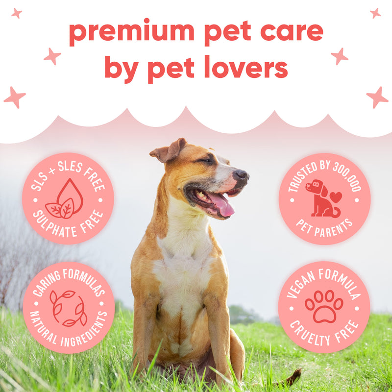 Pet Antiseptic Chlorhexidine Medicated Waterless Dry Dog Shampoo