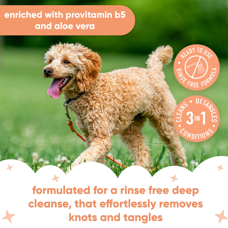 Curly Coat Detangling Waterless Dry Dog Shampoo