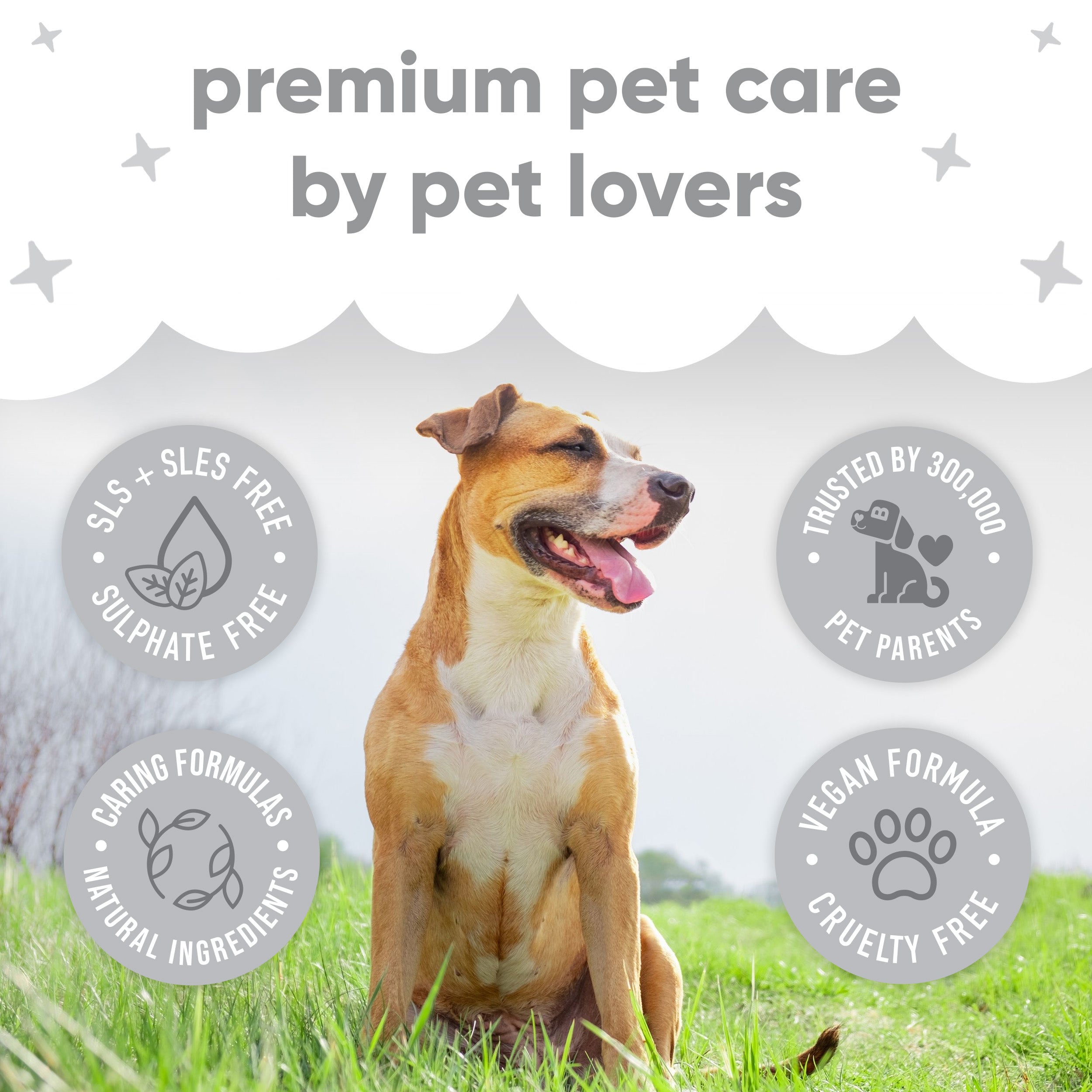 Derma Sensitive Waterless Dry Dog Shampoo