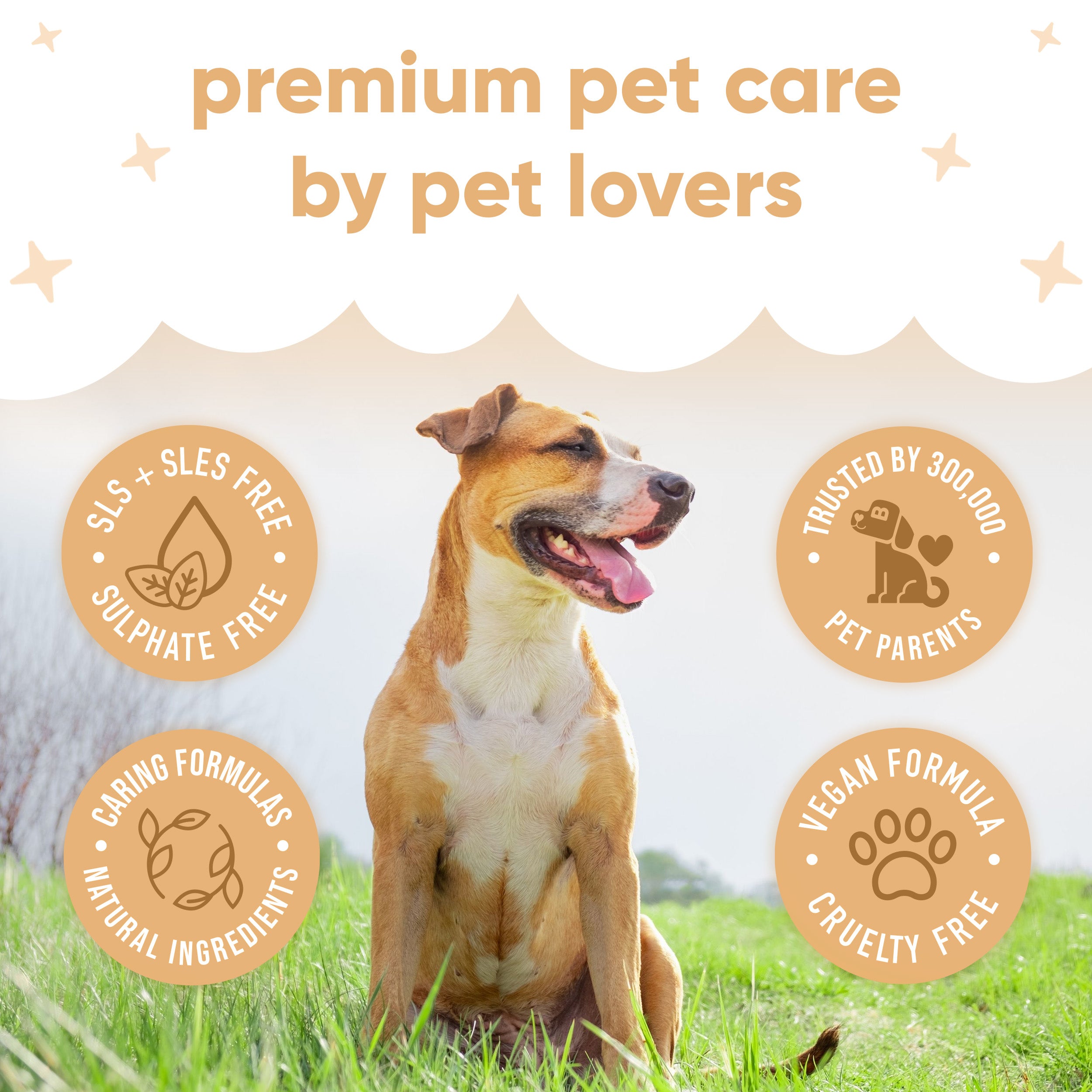 Oatmeal Waterless Dry Dog Shampoo