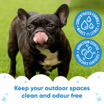 Bubblegum Artificial Grass Cleaner