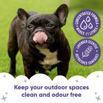 Lavender Artificial Grass Cleaner
