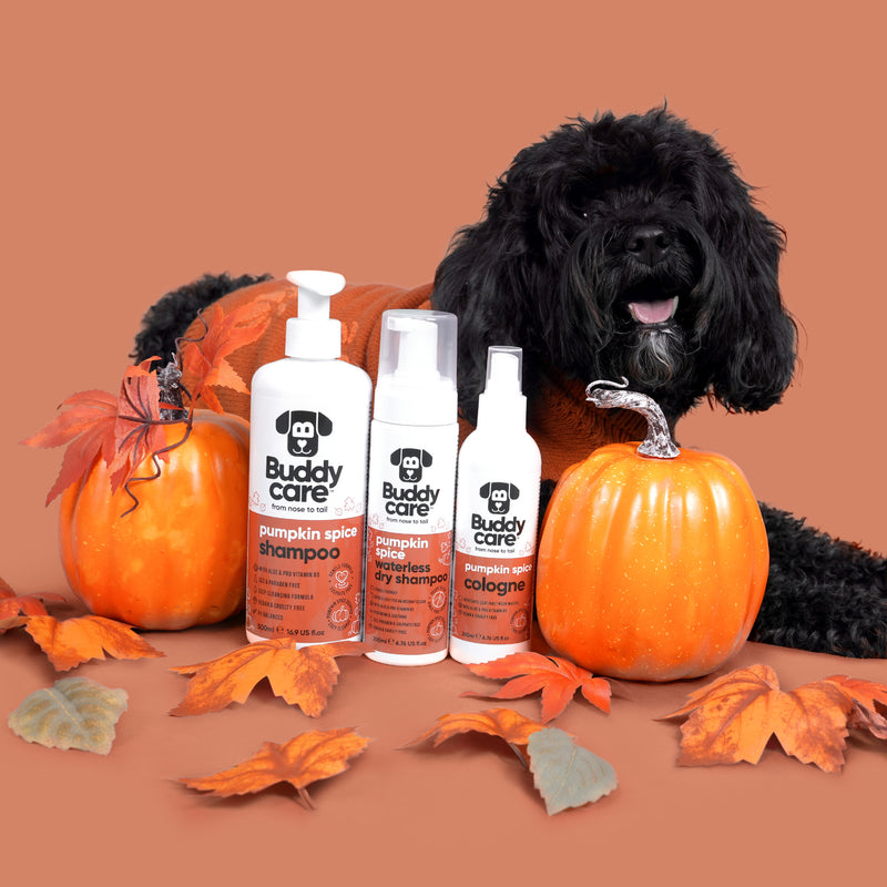 Pumpkin Spice Dog Cologne