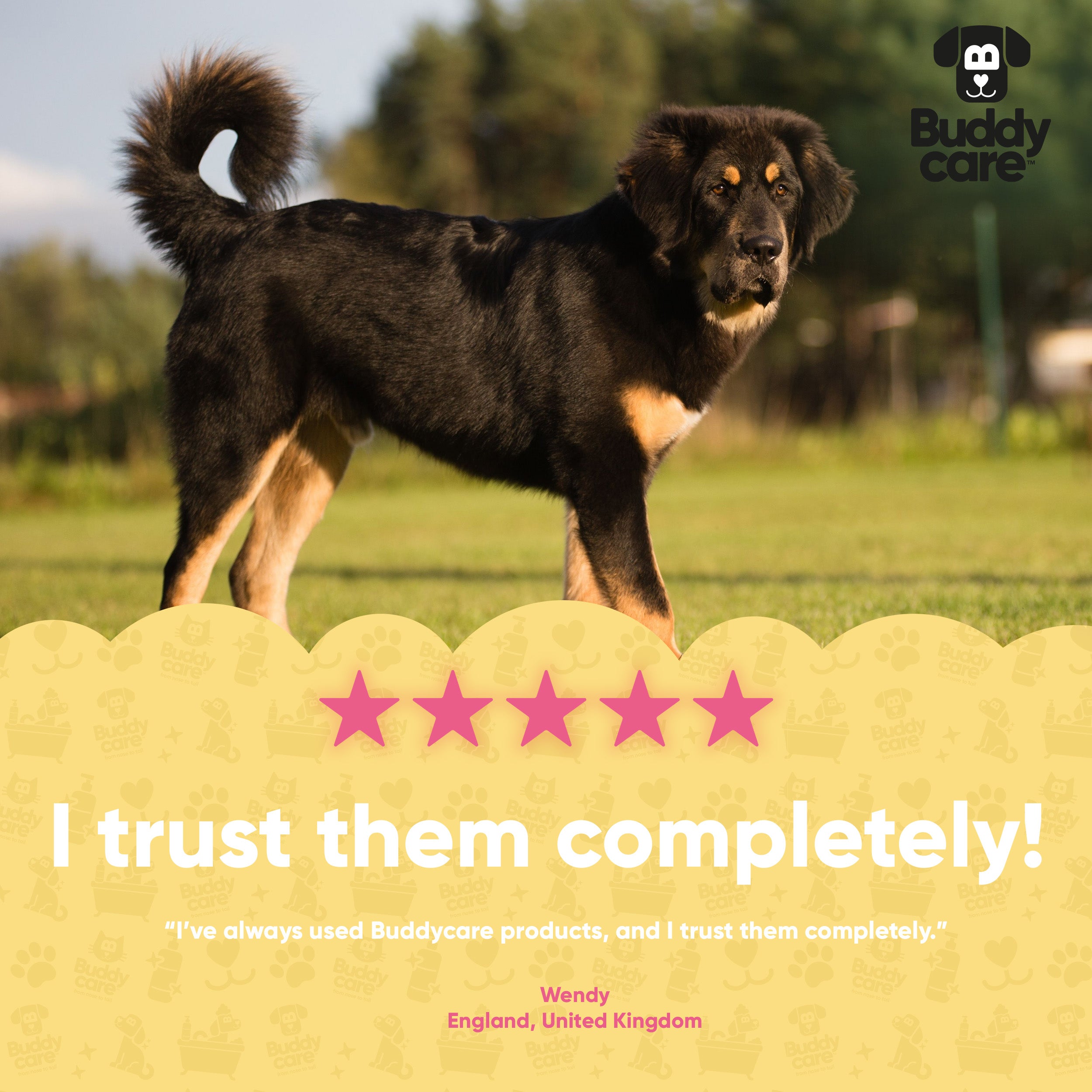 Rhubarb & Custard Dog Shampoo