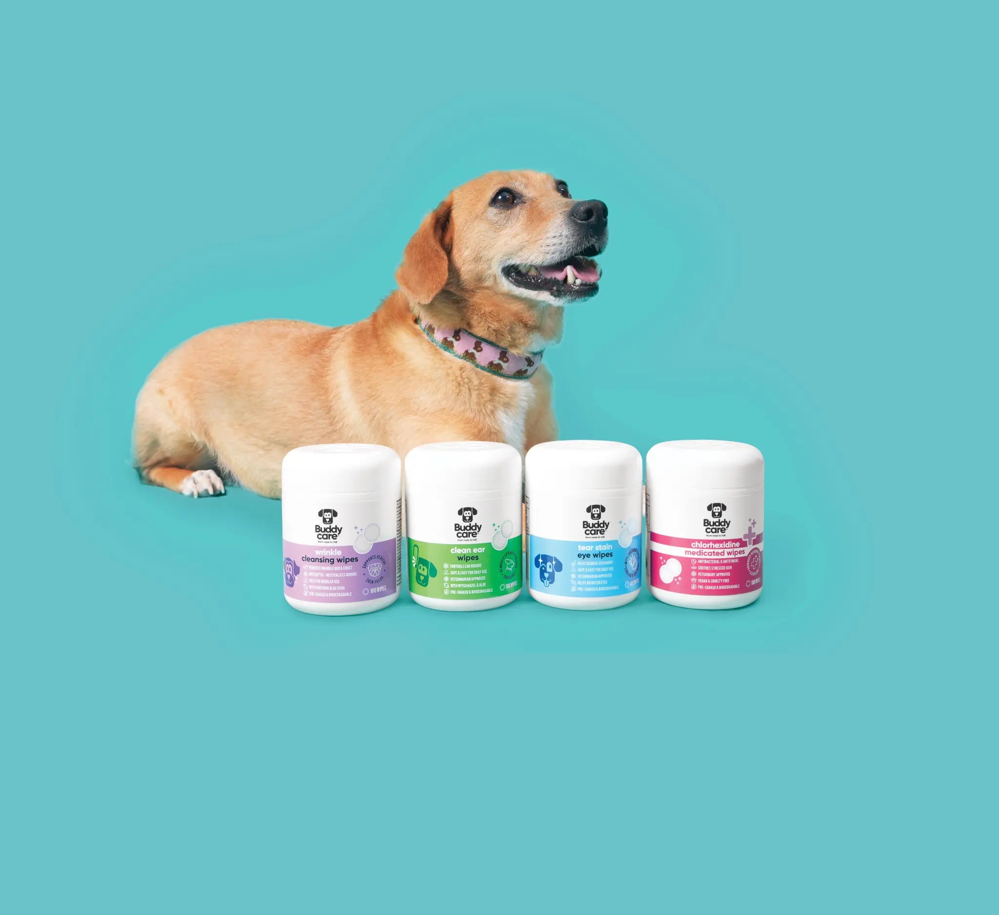Dental & Supplements